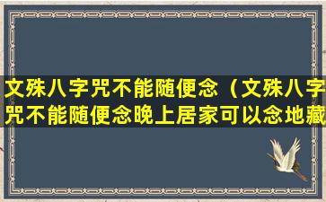 文殊八字咒不能随便念（文殊八字咒不能随便念晚上居家可以念地藏经）