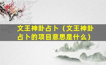 文王神卦占卜（文王神卦占卜的项目意思是什么）