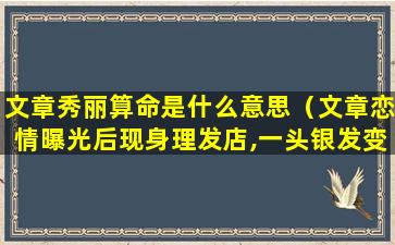 文章秀丽算命是什么意思（文章恋情曝光后现身理发店,一头银发变小鲜肉）