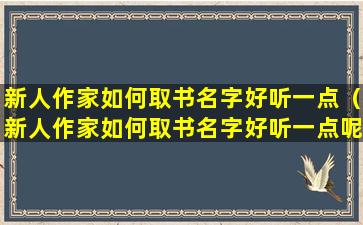 新人作家如何取书名字好听一点（新人作家如何取书名字好听一点呢）