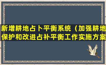 新增耕地占卜平衡系统（加强耕地保护和改进占补平衡工作实施方案）