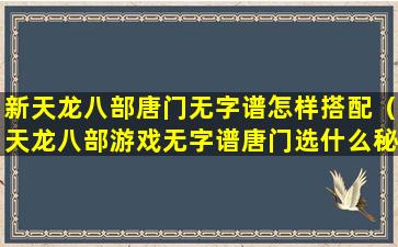 新天龙八部唐门无字谱怎样搭配（天龙八部游戏无字谱唐门选什么秘籍最好）