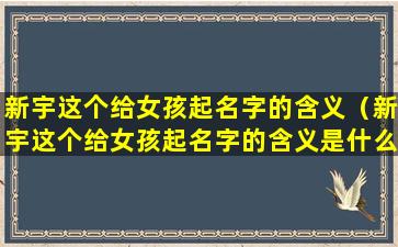 新宇这个给女孩起名字的含义（新宇这个给女孩起名字的含义是什么）