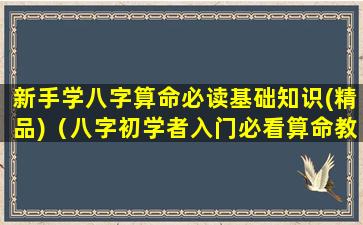 新手学八字算命必读基础知识(精品)（八字初学者入门必看算命教程(初学者一定要看!)）