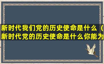 新时代我们党的历史使命是什么（新时代党的历史使命是什么你能为它做些什么）