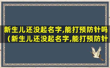 新生儿还没起名字,能打预防针吗（新生儿还没起名字,能打预防针吗多少钱）