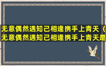 无意偶然遇知己相逢携手上青天（无意偶然遇知己相逢携手上青天是什么意思）