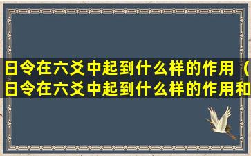 日令在六爻中起到什么样的作用（日令在六爻中起到什么样的作用和作用）