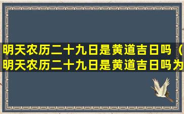 明天农历二十九日是黄道吉日吗（明天农历二十九日是黄道吉日吗为什么）