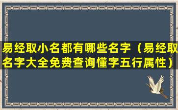 易经取小名都有哪些名字（易经取名字大全免费查询懂字五行属性）