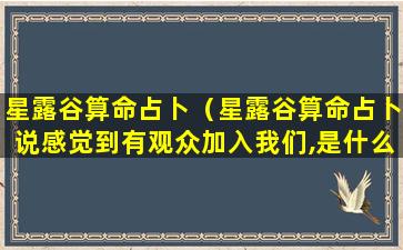 星露谷算命占卜（星露谷算命占卜说感觉到有观众加入我们,是什么意思）