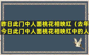 昨日此门中人面桃花相映红（去年今日此门中人面桃花相映红中的人面是属于什么过程）