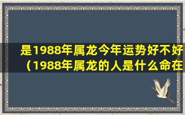 是1988年属龙今年运势好不好（1988年属龙的人是什么命在今年2020年运气会怎么样）