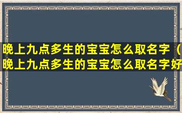 晚上九点多生的宝宝怎么取名字（晚上九点多生的宝宝怎么取名字好听）