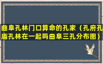 曲阜孔林门口算命的孔家（孔府孔庙孔林在一起吗曲阜三孔分布图）