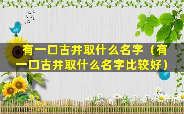 有一口古井取什么名字（有一口古井取什么名字比较好）