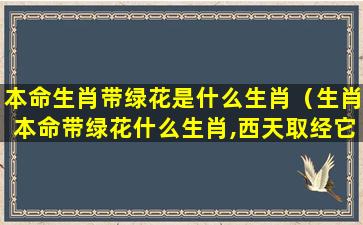 本命生肖带绿花是什么生肖（生肖本命带绿花什么生肖,西天取经它有份）