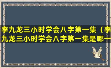 李九龙三小时学会八字第一集（李九龙三小时学会八字第一集是哪一集）