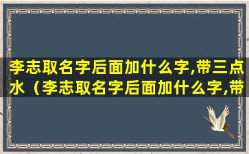 李志取名字后面加什么字,带三点水（李志取名字后面加什么字,带三点水的名字）