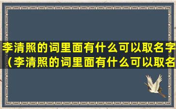 李清照的词里面有什么可以取名字（李清照的词里面有什么可以取名字吗）