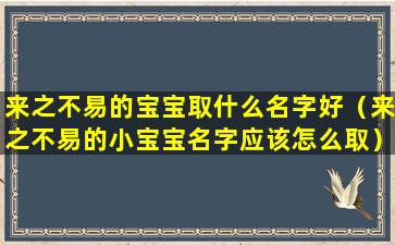 来之不易的宝宝取什么名字好（来之不易的小宝宝名字应该怎么取）