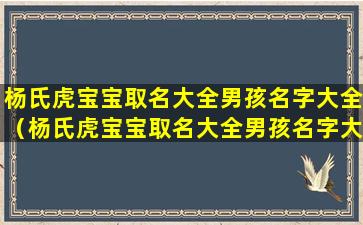 杨氏虎宝宝取名大全男孩名字大全（杨氏虎宝宝取名大全男孩名字大全及寓意）