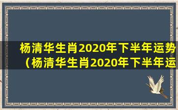 杨清华生肖2020年下半年运势（杨清华生肖2020年下半年运势怎么样）