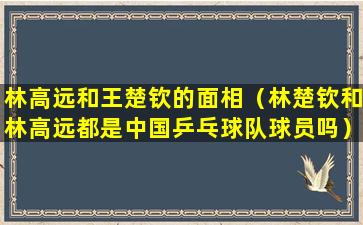 林高远和王楚钦的面相（林楚钦和林高远都是中国乒乓球队球员吗）