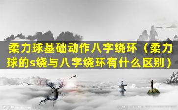 柔力球基础动作八字绕环（柔力球的s绕与八字绕环有什么区别）