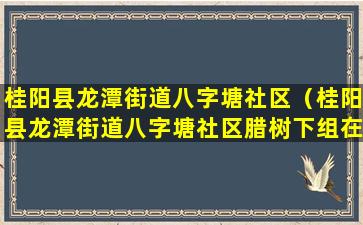 桂阳县龙潭街道八字塘社区（桂阳县龙潭街道八字塘社区腊树下组在哪个位置）