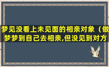 梦见没看上未见面的相亲对象（做梦梦到自己去相亲,但没见到对方长相）