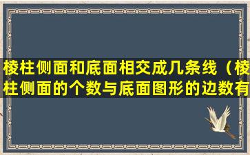 棱柱侧面和底面相交成几条线（棱柱侧面的个数与底面图形的边数有什么关系）