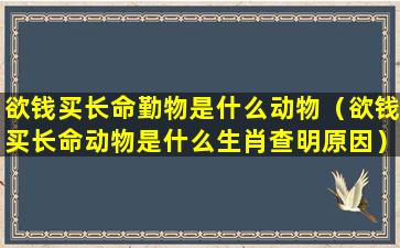 欲钱买长命勤物是什么动物（欲钱买长命动物是什么生肖查明原因）