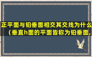 正平面与铅垂面相交其交线为什么（垂直h面的平面皆称为铅垂面,为什么不对）