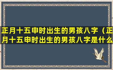 正月十五申时出生的男孩八字（正月十五申时出生的男孩八字是什么）