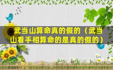 武当山算命真的假的（武当山看手相算命的是真的假的）