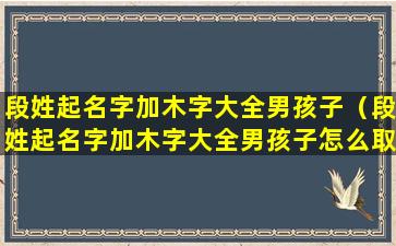 段姓起名字加木字大全男孩子（段姓起名字加木字大全男孩子怎么取）