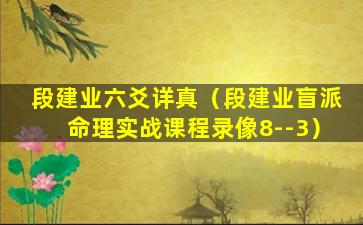 段建业六爻详真（段建业盲派命理实战课程录像8--3）