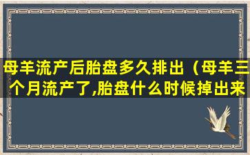 母羊流产后胎盘多久排出（母羊三个月流产了,胎盘什么时候掉出来）