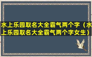 水上乐园取名大全霸气两个字（水上乐园取名大全霸气两个字女生）