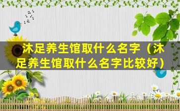 沐足养生馆取什么名字（沐足养生馆取什么名字比较好）