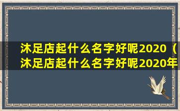 沐足店起什么名字好呢2020（沐足店起什么名字好呢2020年大全）