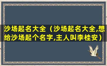 沙场起名大全（沙场起名大全,想给沙场起个名字,主人叫李桂安）