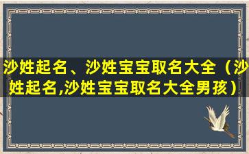 沙姓起名、沙姓宝宝取名大全（沙姓起名,沙姓宝宝取名大全男孩）