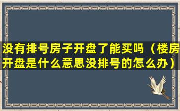 没有排号房子开盘了能买吗（楼房开盘是什么意思没排号的怎么办）