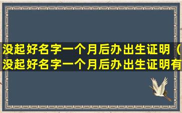 没起好名字一个月后办出生证明（没起好名字一个月后办出生证明有影响吗）