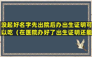 没起好名字先出院后办出生证明可以吃（在医院办好了出生证明还能改名字吗）