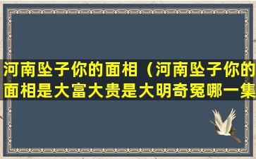 河南坠子你的面相（河南坠子你的面相是大富大贵是大明奇冤哪一集）