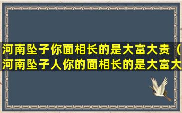 河南坠子你面相长的是大富大贵（河南坠子人你的面相长的是大富大贵）