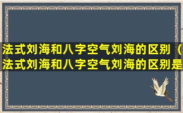 法式刘海和八字空气刘海的区别（法式刘海和八字空气刘海的区别是什么）